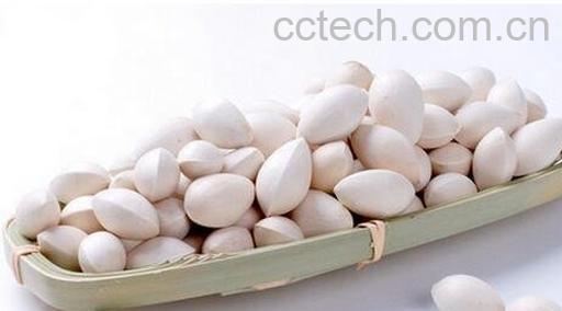 银杏果的功效与作用 -0