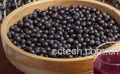 巴西莓葡萄籽的功效与作用-0