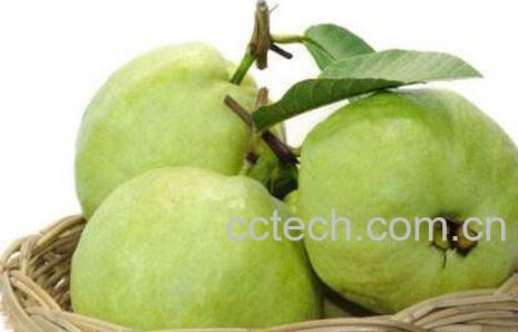 血脂高可以吃芭乐吗-0