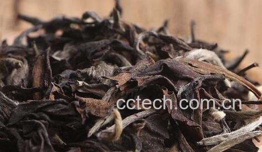 老白茶的功效与作用-0