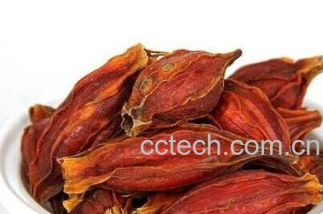 栀子果的功效与作用-0