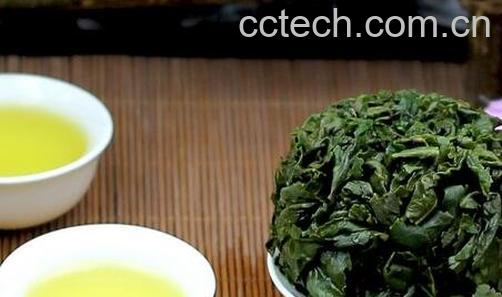 铁观音是红茶还是绿茶-0