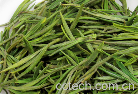 福鼎白茶与安吉白茶的区别-0