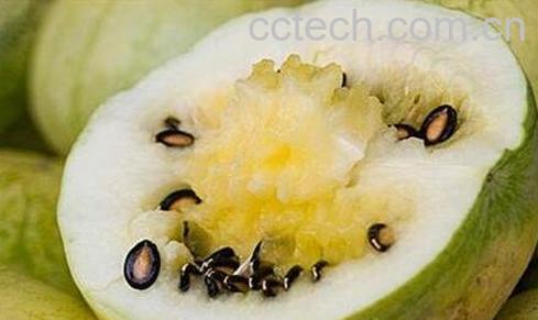 吃籽瓜皮的好处-0