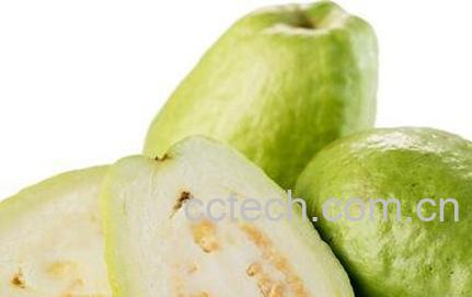 早上空腹可以吃芭乐吗 -0