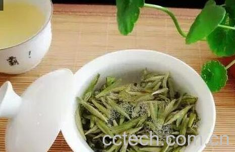 白牡丹和白毫银针的区别-0