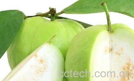 做月子能吃芭乐吗-0