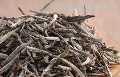 冲泡白毫银针的注意事项-0