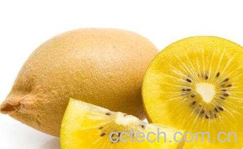 奇异果的功效与作用 -0