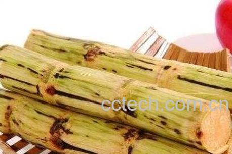  煮青甘蔗根的功效与作用-0