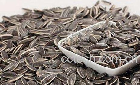 葵花籽的功效作用与食用禁忌-0