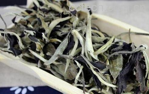 白毫银针与月光白区别-0