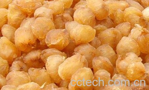 元肉的作用与功效-0