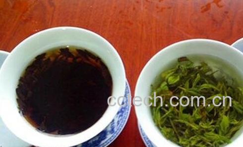 红茶和绿茶如何区分-0
