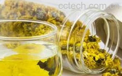 常喝菊花茶有什么好处-0