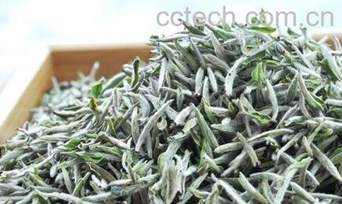 白毫银针需要洗茶吗-0