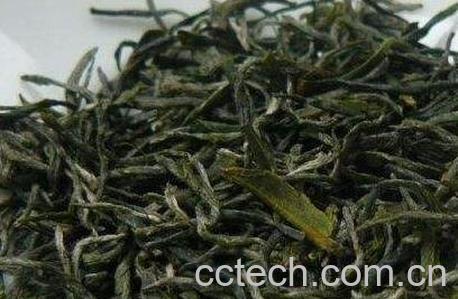 毛尖怎么泡 毛尖的泡法技巧教程-0