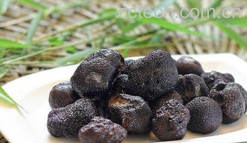 黑松露的营养价值 -0