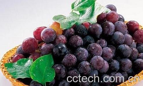 葡萄皮的功效与作用-0