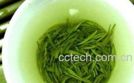  信阳毛尖怎么泡好喝-0