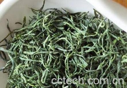 信阳毛尖属于什么茶-0
