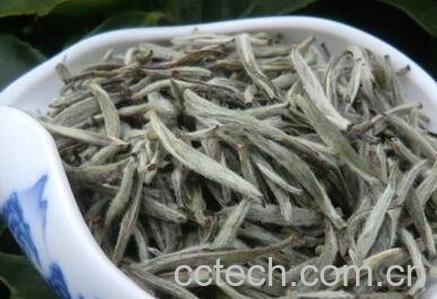 白毫银针的功效与作用-0