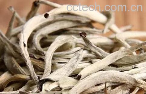 白毫银针和月光白的区别和对比-0