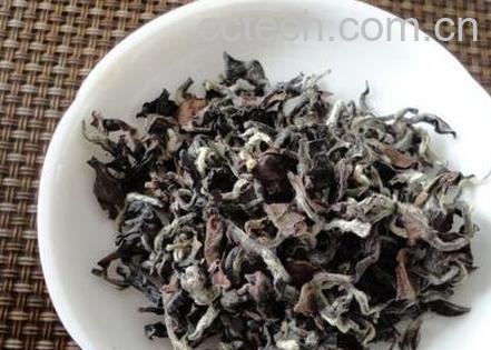 白毫乌龙茶的泡法-0