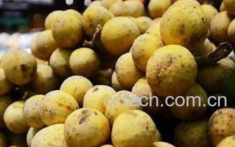 中药桂圆皮的功效与作用及食用方法-0