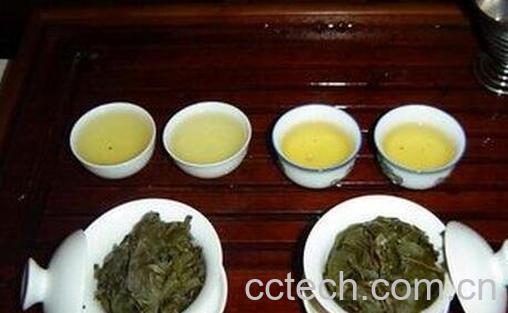 冻顶乌龙茶如何泡 -0