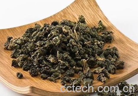 冻顶乌龙茶的功效与作用-0