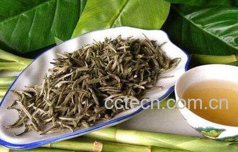 福鼎政和白毫银针的区别-0