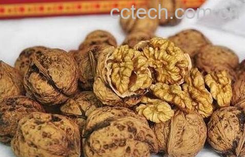 中药核桃皮的功效与作用-0