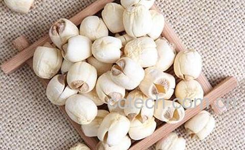 莲子肉的功效与作用-0