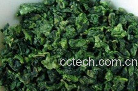 乌龙茶和铁观音如何区分-0