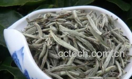 白毫银针茶功效作用-0