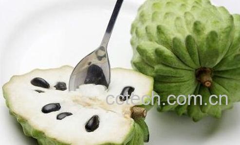 释迦果怎么吃 -0