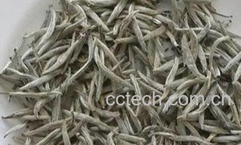 巴南银针如何泡 巴南银针泡法技巧-0