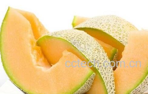 哈密瓜的热量与营养-0