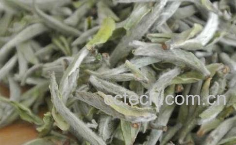 白豪银针茶的冲泡比例 -0