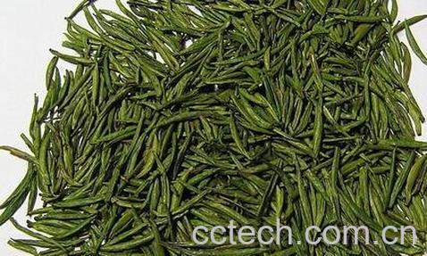 君山银针怎么鉴别-0