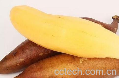 雪莲果怎么吃 -0