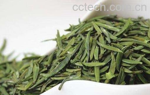 银针和雀舌哪个更好 -0