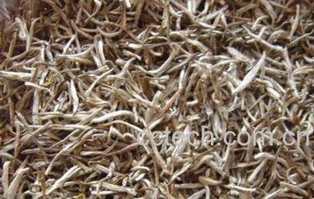 茉莉银针功效 茉莉银针的好处-0