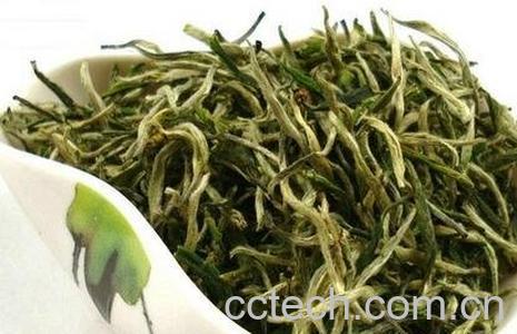 银针与毛尖的区别-0