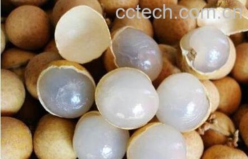 龙眼的食疗功效有哪些-0