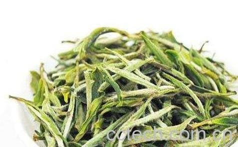 安徽毛峰和毛尖的区别-0