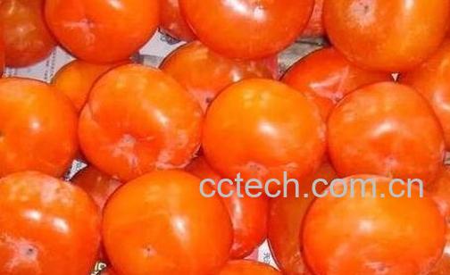  哪些人不能吃柿子-0