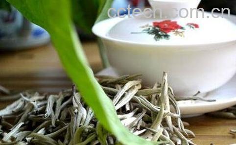 白毛尖茶的营养价值 -0