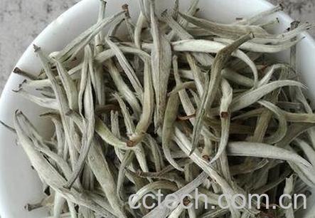 白毛尖的泡法-0